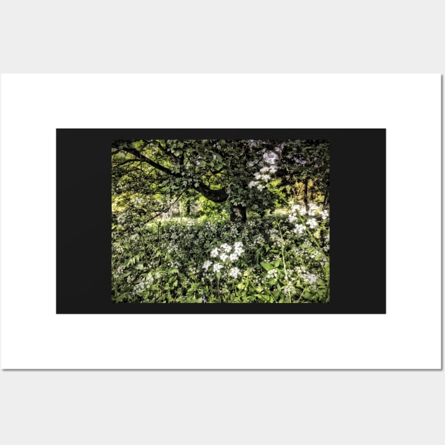 Summertime cow parsley Wall Art by Dpe1974